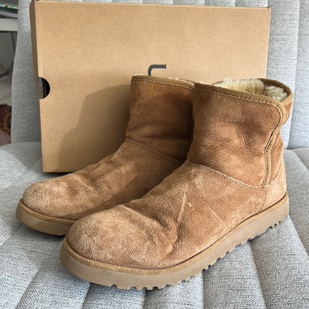 Mini Chestnut Uggs